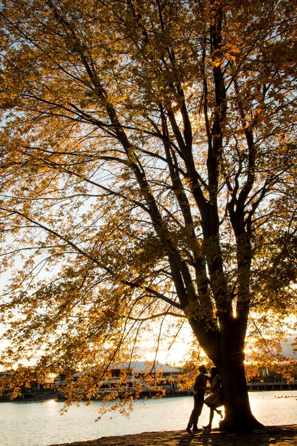 Free Image of Two People Sitting on a Bench Under a Tree 