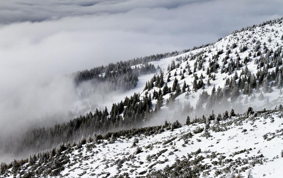 Free Image of Snow-Covered Mountain With Trees and Clouds 