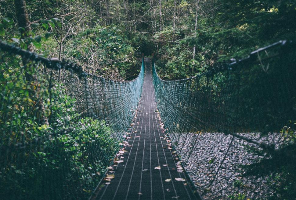 Free Image of Suspension Bridge Spanning Through Forest 