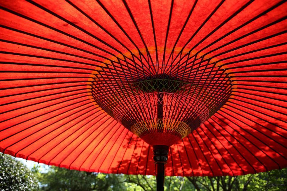 Free Image of Red Umbrella in Park 