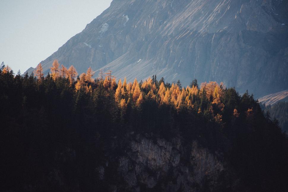 Free Image of Majestic Mountain With Trees and Blue Sky 