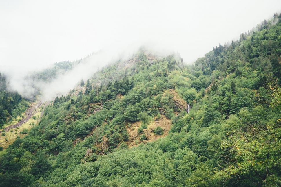 Free Image of Mountain Covered in Trees and Clouds in the Distance 