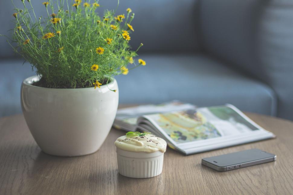 Free Image of Table With Cell Phone and Potted Plant 