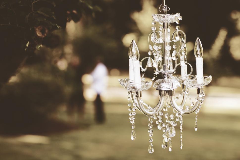 Free Image of Chandelier Hanging From Tree in Park 