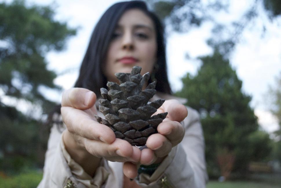 Free Image of Woman Holding Pine Cone in Her Hands 