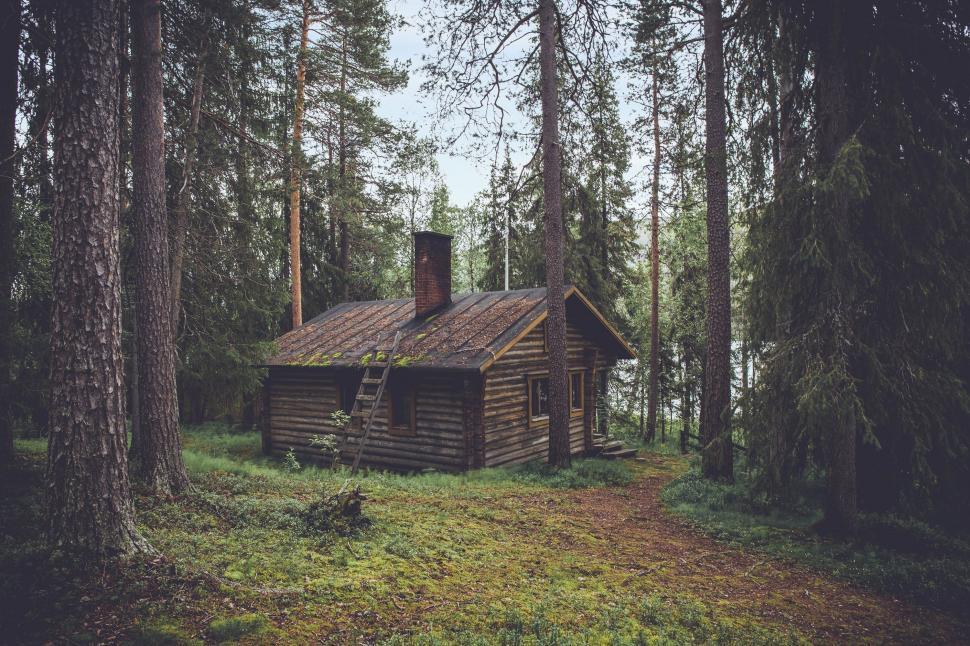 Free Image of Old Log Cabin Surrounded by Forest 