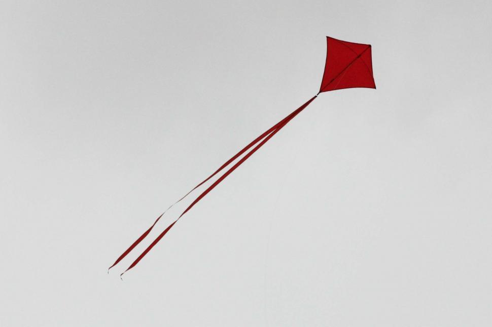 Free Image of Red kite 