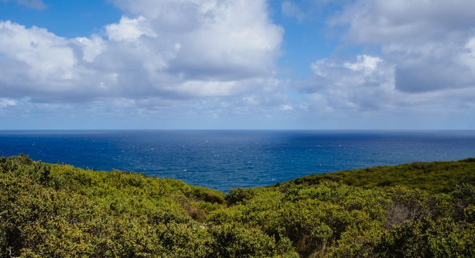 Free Image of Scenic View of the Ocean From a Hill 