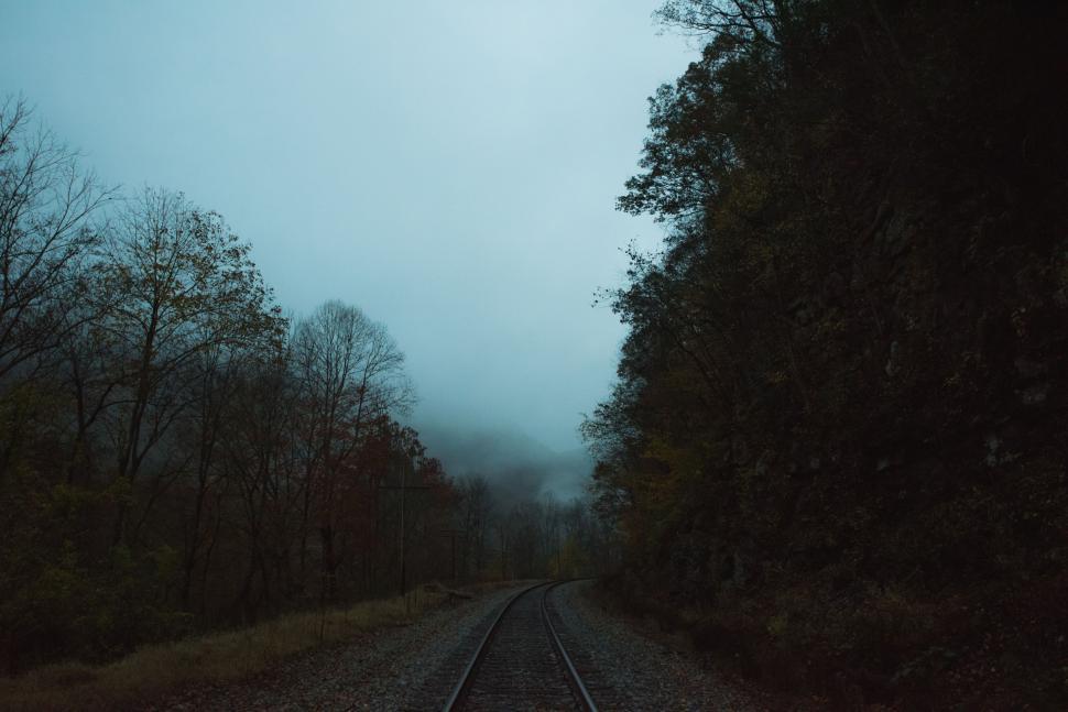 Free Image of Train Track Cutting Through Forest 