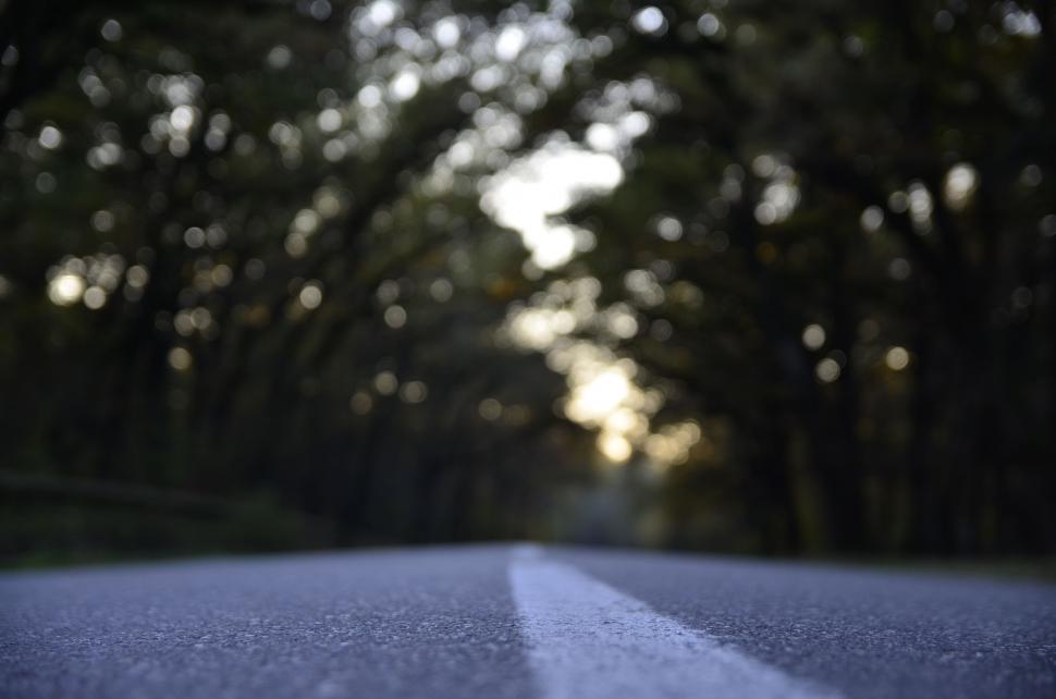 Free Image of Blurry Road With Trees in Background 