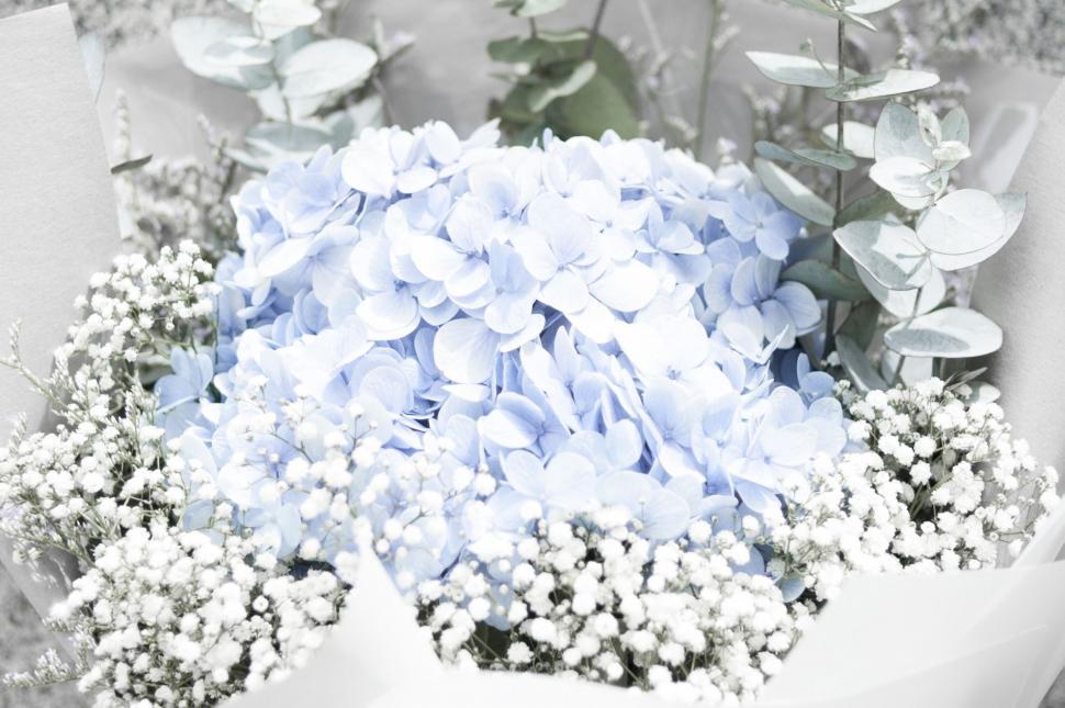 Free Image of Monochrome Bouquet of Flowers 