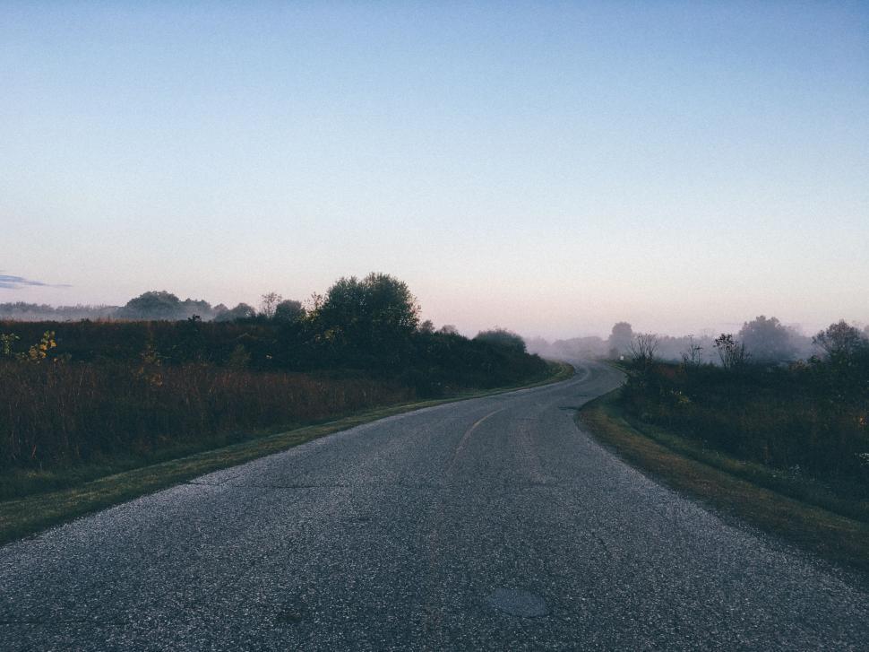 Free Image of An Empty Road With Trees and Bushes 