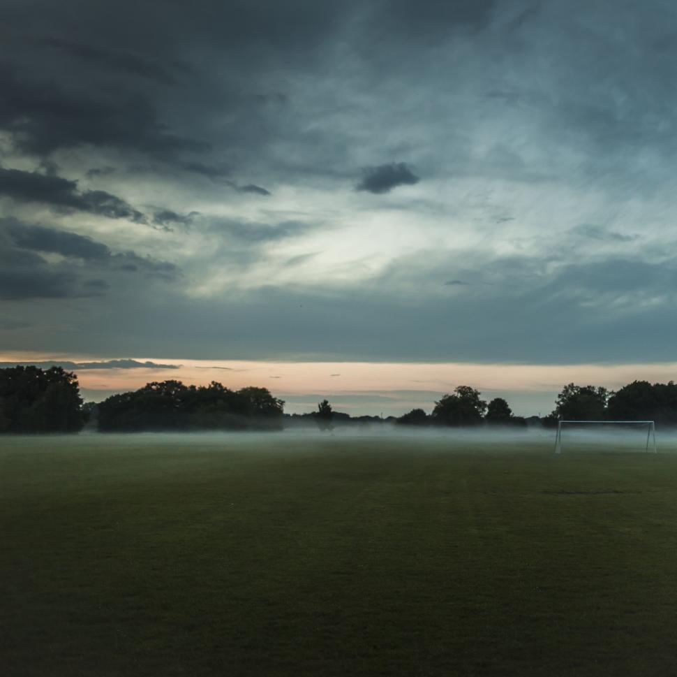 Free Image of Foggy Field With Trees in the Distance 