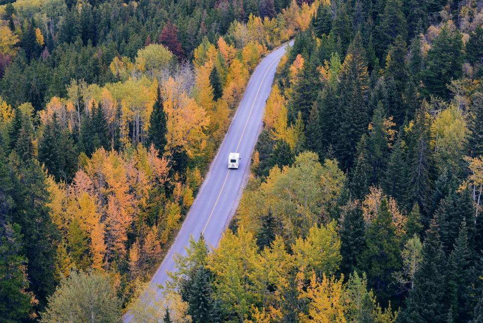 Free Image of Truck Driving Down Road Surrounded by Trees 