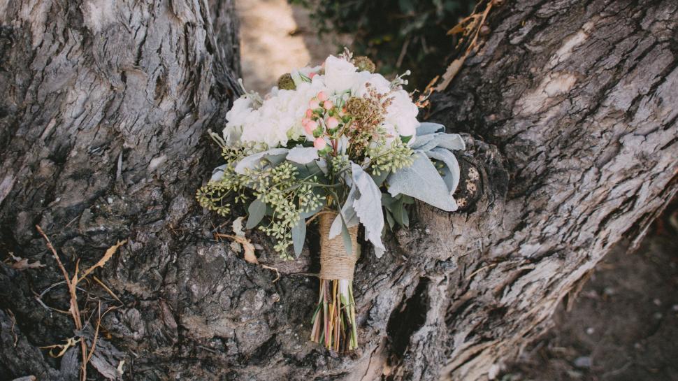 Free Image of Bouquet of Flowers Resting on Tree Bark 