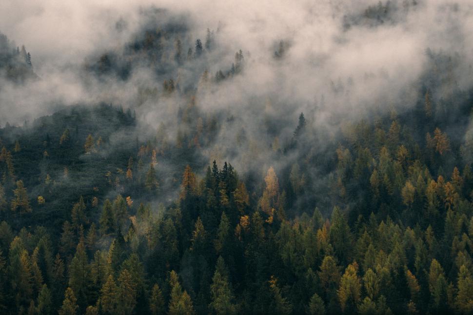 Free Image of Plane Flying Over Forest Covered in Clouds 