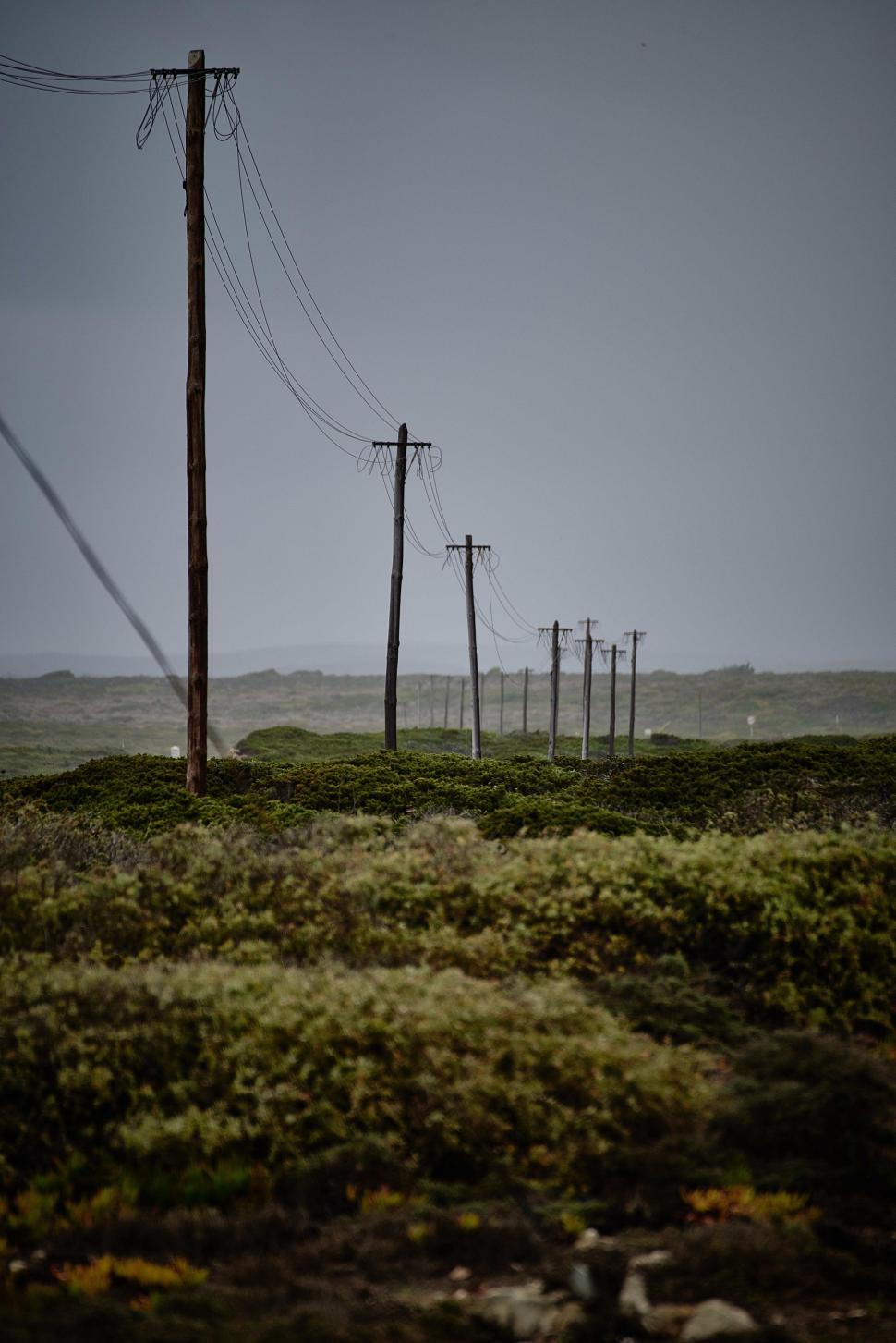 Free Image of Grassy Field With Power Lines and Telephone Poles 