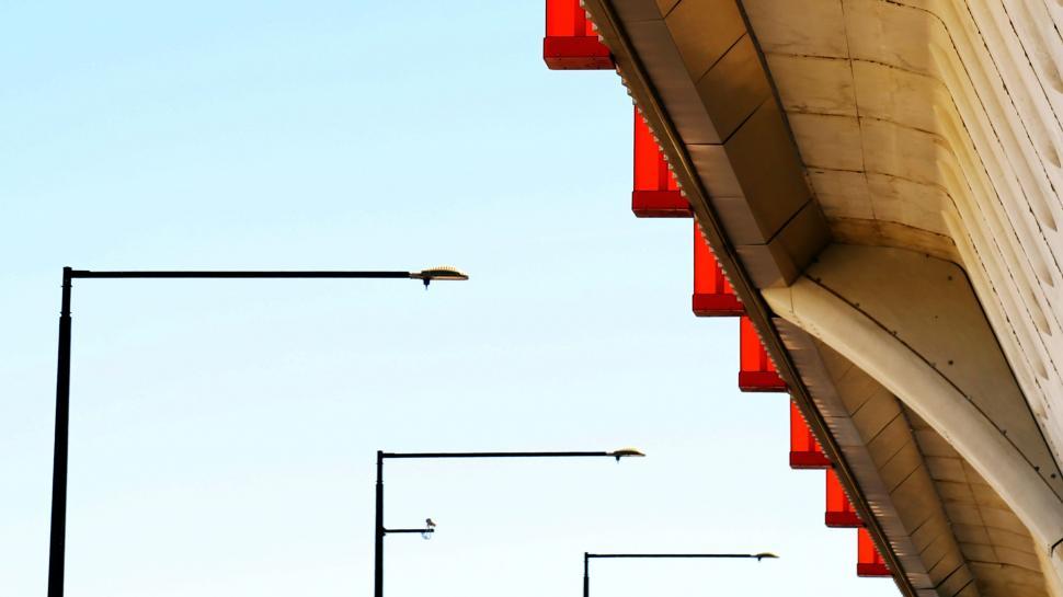 Free Image of Bird Flying Over Street Light Next to Building 