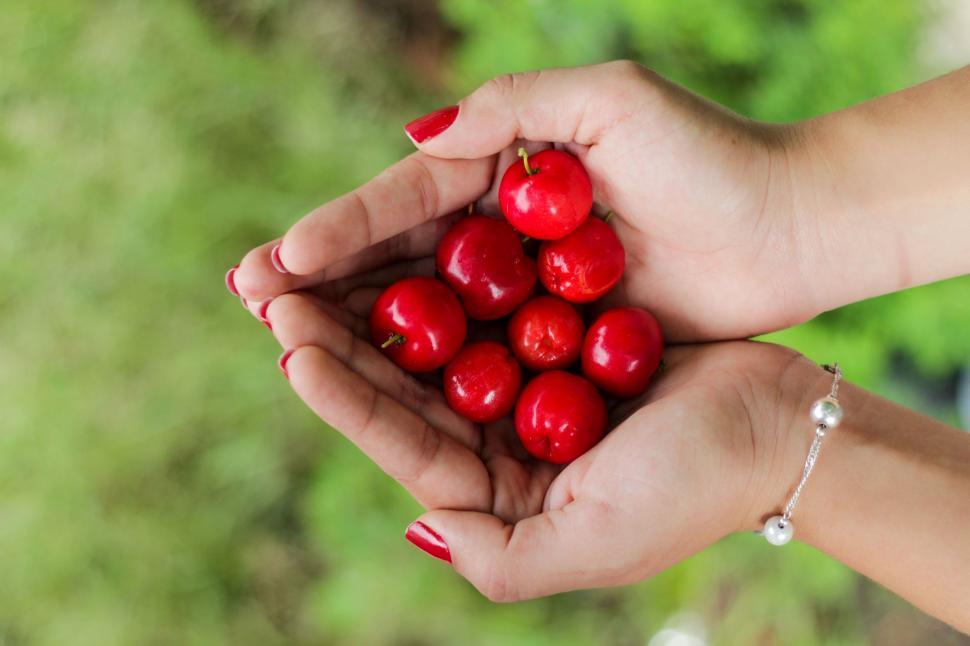 Free Image of Woman Holding a Handful of Cherries 