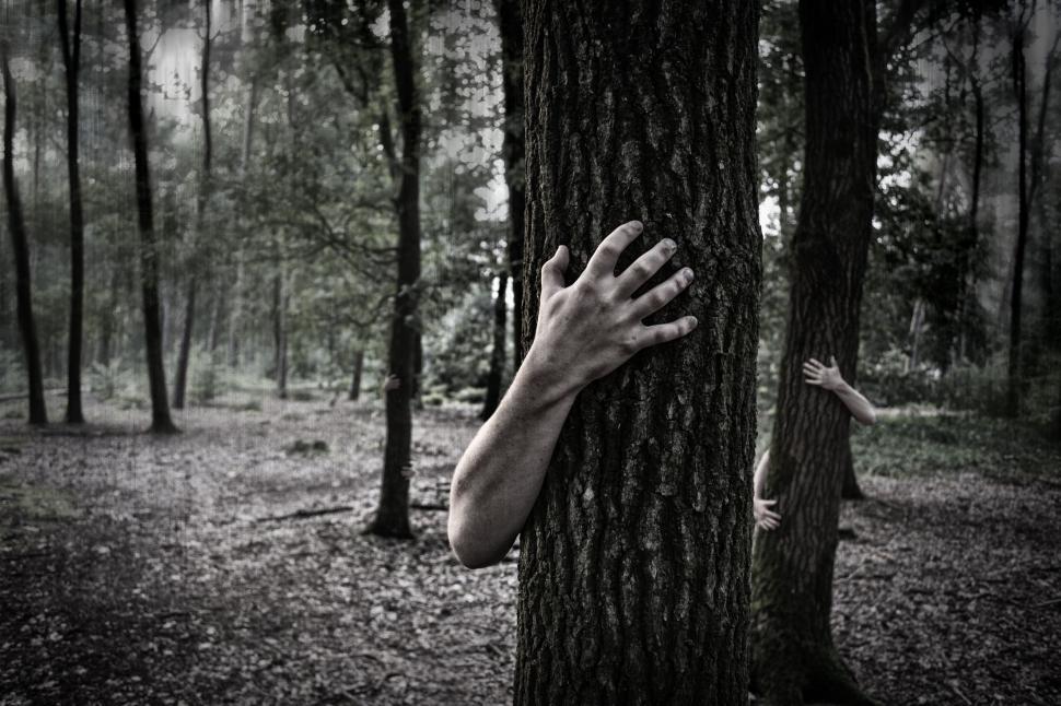 Free Image of Hand Emerging From Tree in Forest 