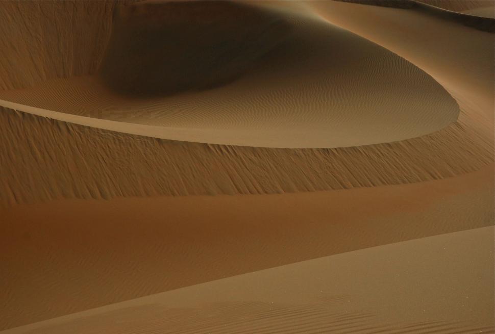 Free Image of Desert Landscape With Sand Dunes and Trees 