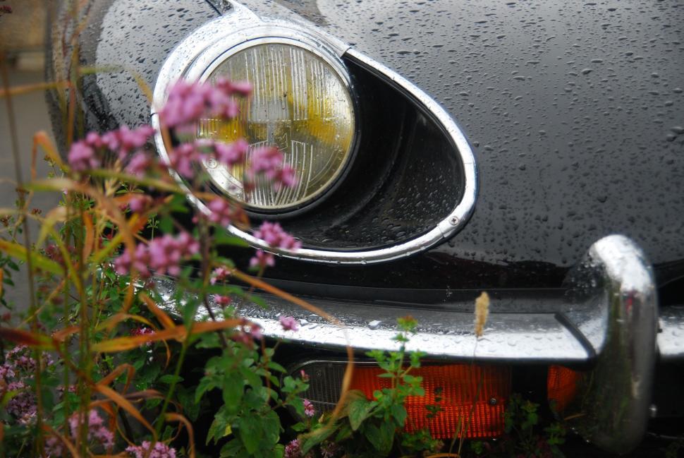Free Image of Close Up of Car With Background Flowers 