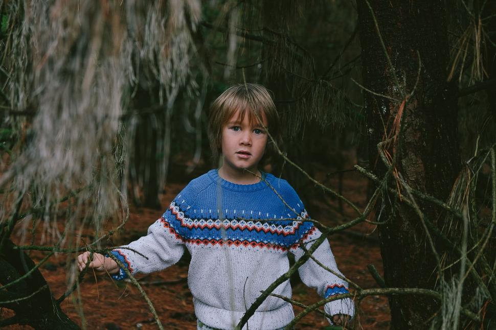 Free Image of Young Boy Standing in the Woods With a Frisbee 