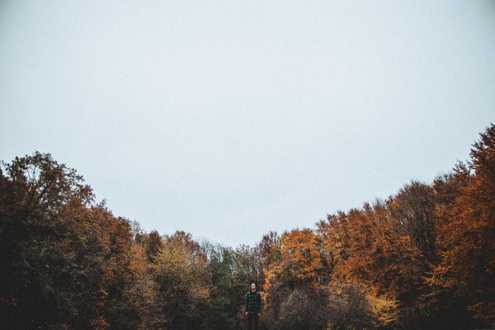 Free Image of Group of People Walking Through a Forest 