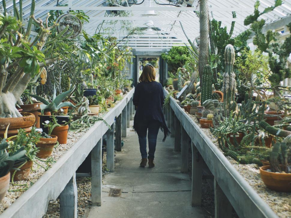 Free Image of Woman Walking Down Long Walkway Lined With Potted Plants 