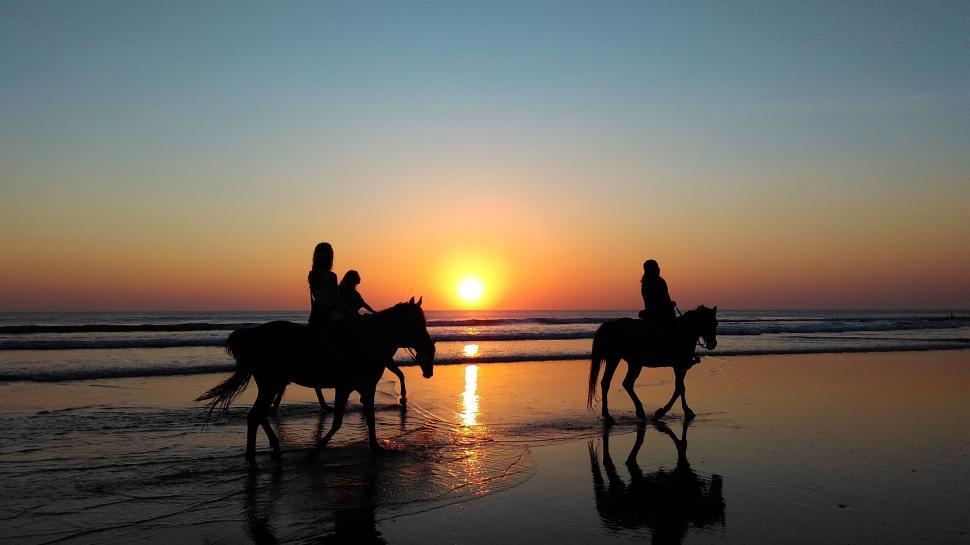 Free Image of Two People Riding Horses on the Beach at Sunset 