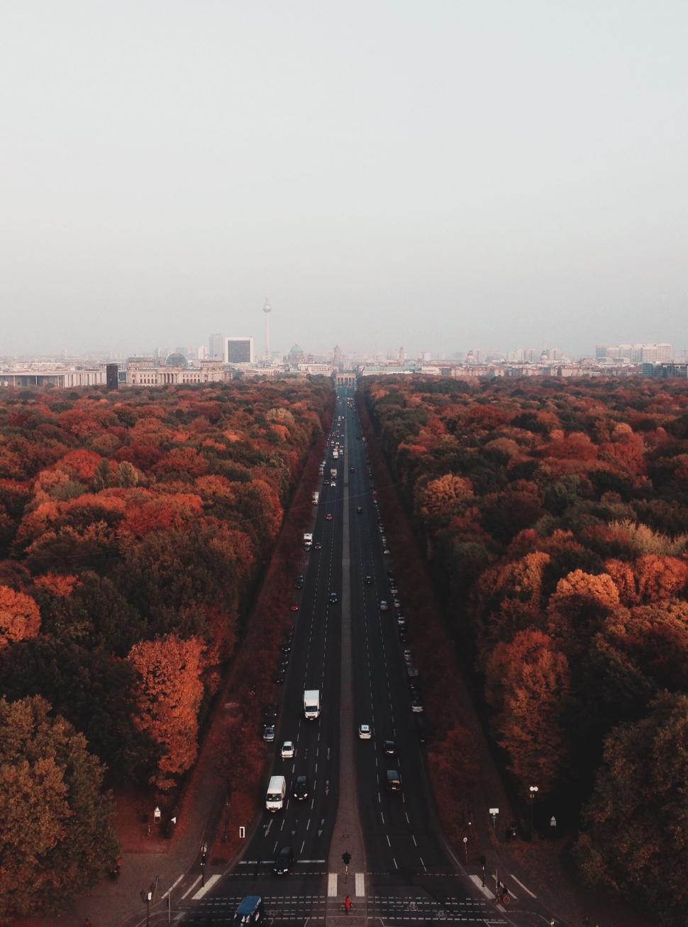 Free Image of Aerial View of Highway Surrounded by Trees 