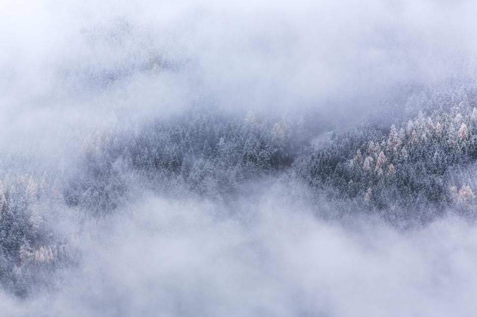 Free Image of Mountain Shrouded in Clouds and Trees 