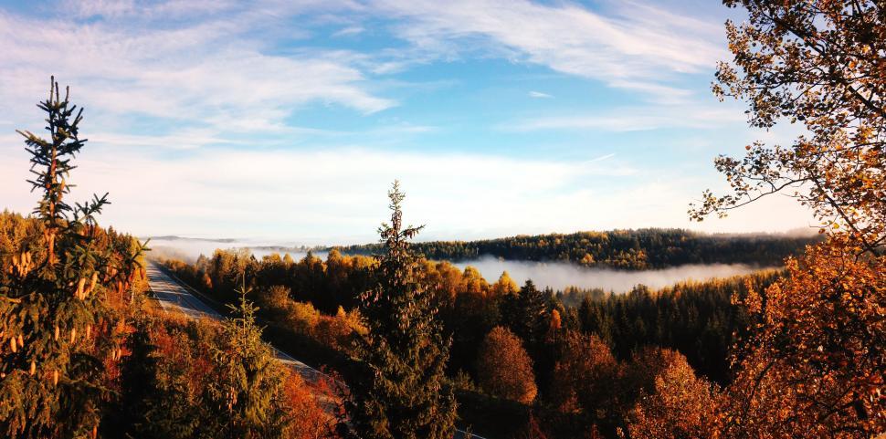 Free Image of Scenic Valley View With Trees 