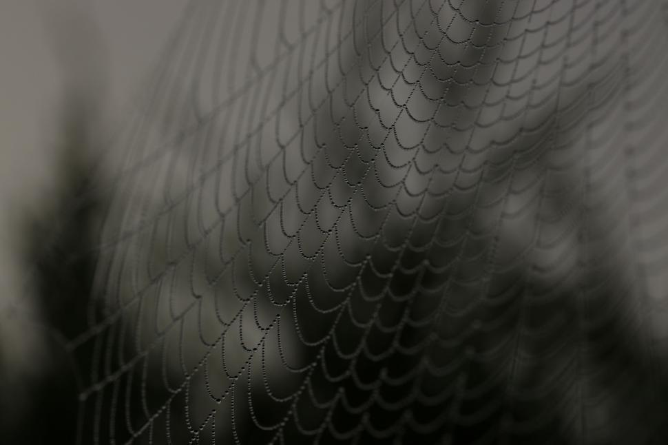Free Image of Mesh Curtain in Black and White 