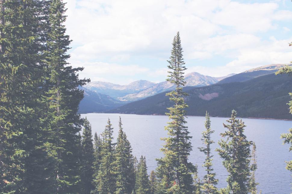 Free Image of Scenic View of a Lake Surrounded by Trees 