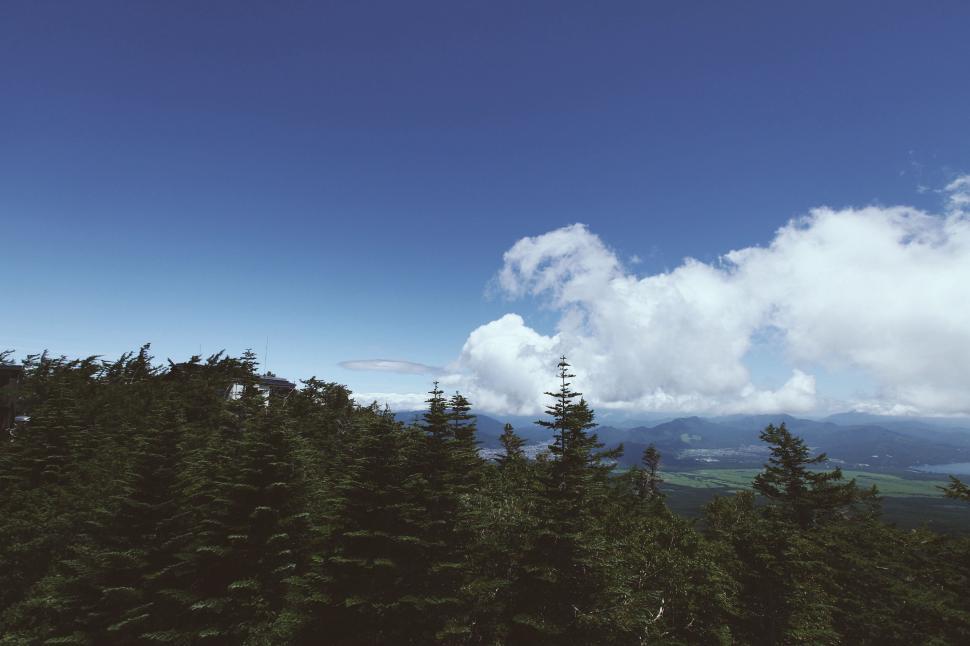 Free Image of A View of a Forest From a High Point 