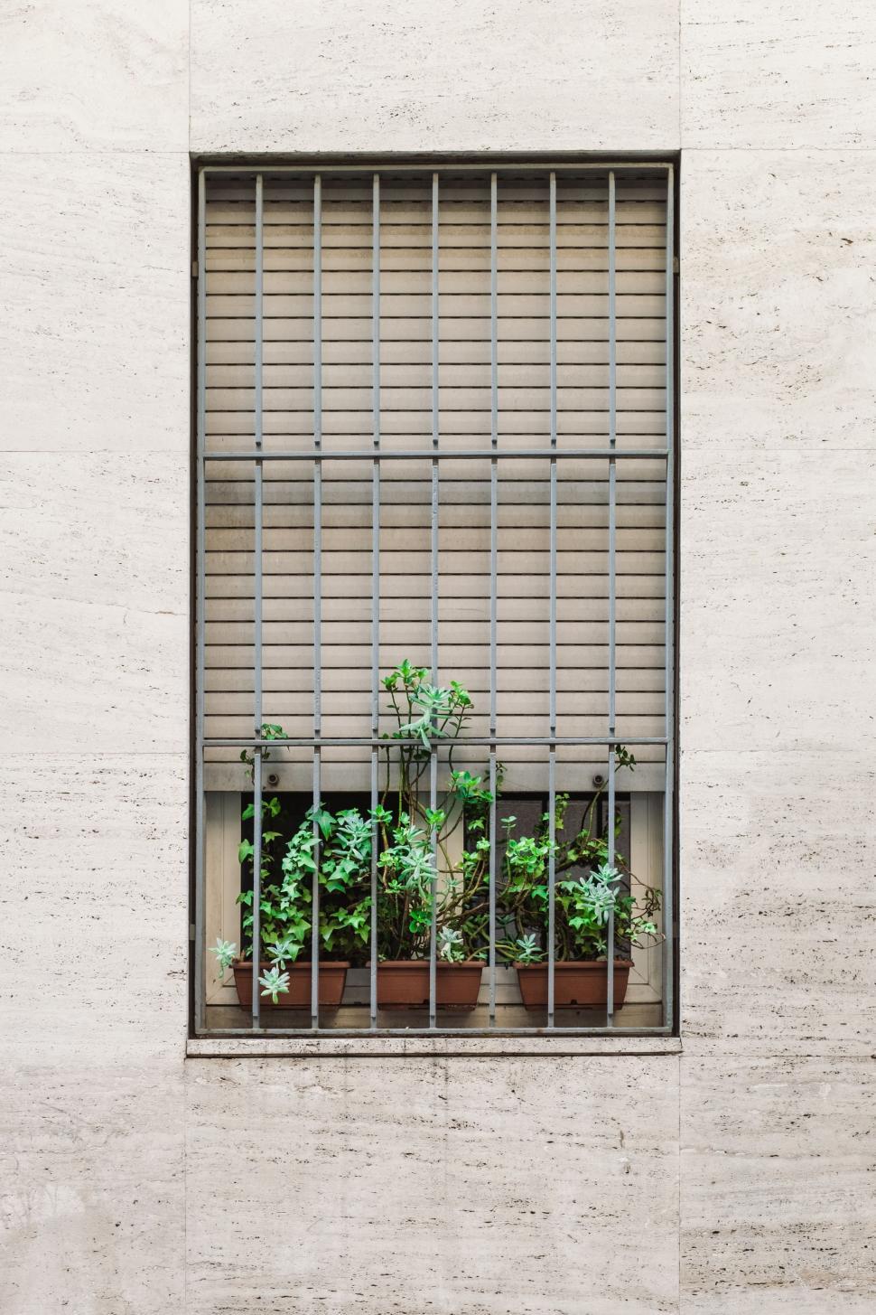 Free Image of Window Filled With Various Plants 