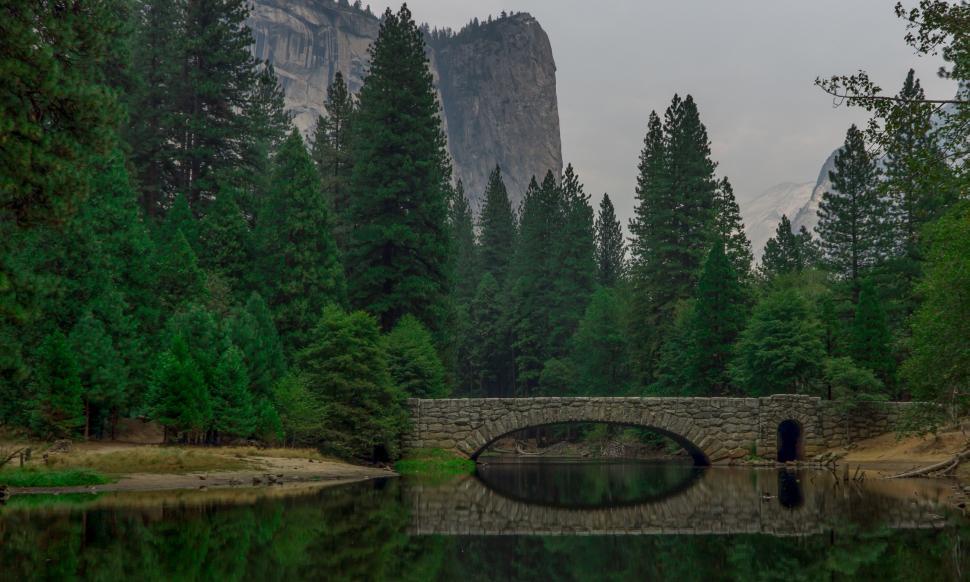 Free Image of Bridge Over Water Surrounded by Trees 