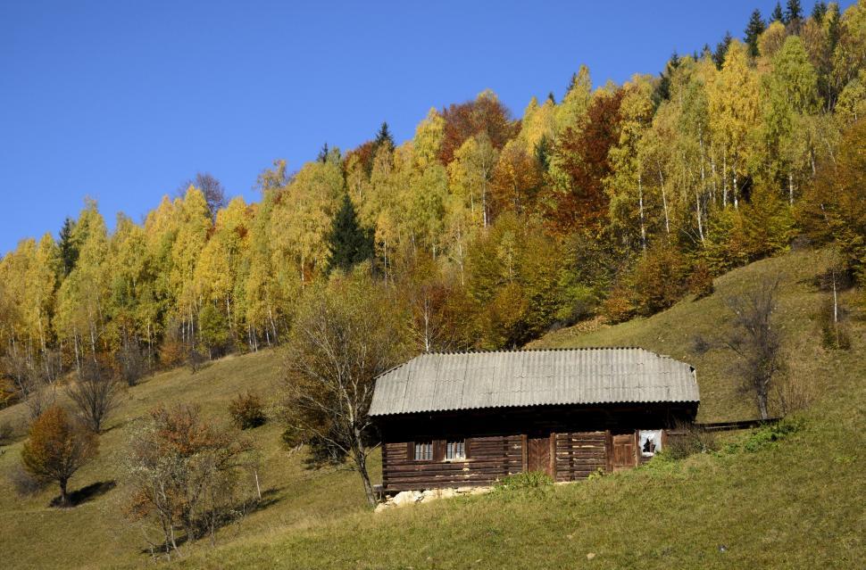Free Image of Cabin on a Hill Surrounded by Trees 