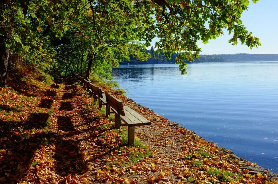 Free Image of Wooden Bench by Lake 