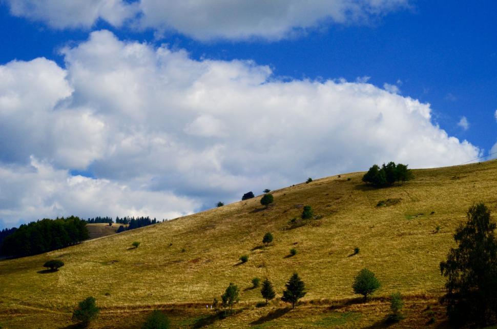 Free Image of Grassy Hill With Trees and Clouds 