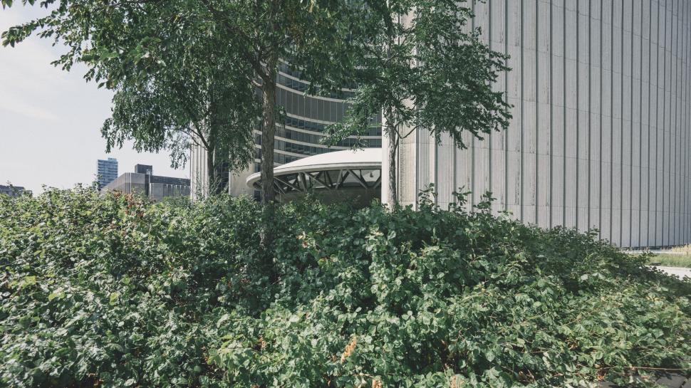 Free Image of Truck Parked Near Building in Bushes 