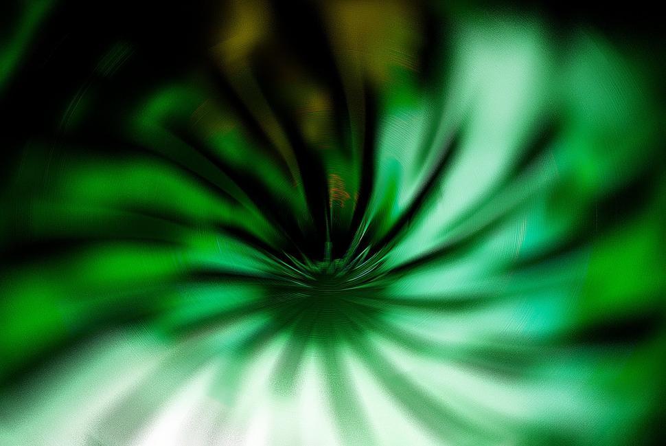 Free Image of Green and White Flower Close-up 