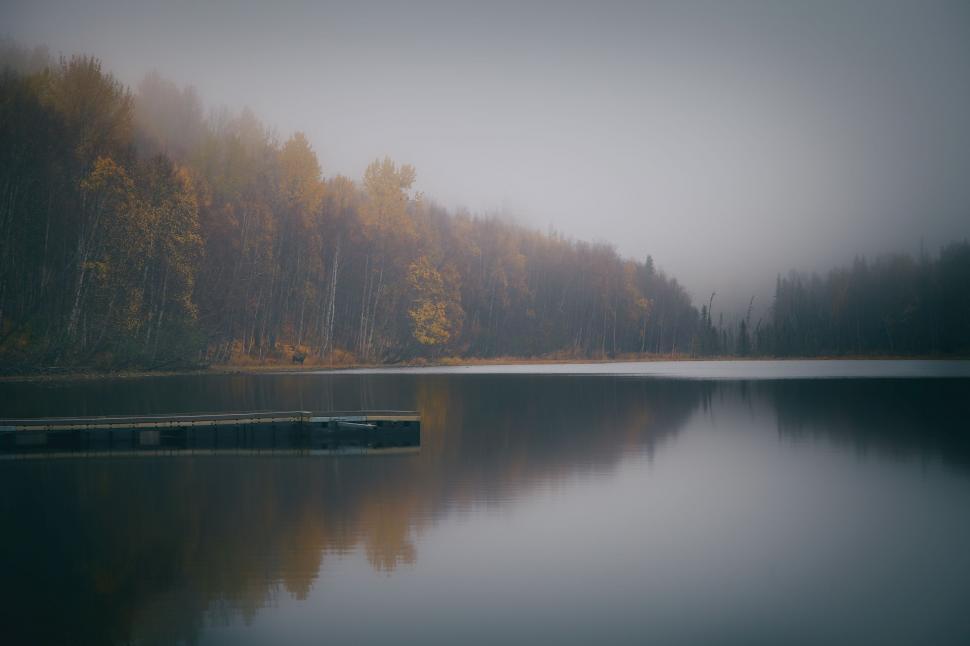 Free Image of Misty Forest Lake 