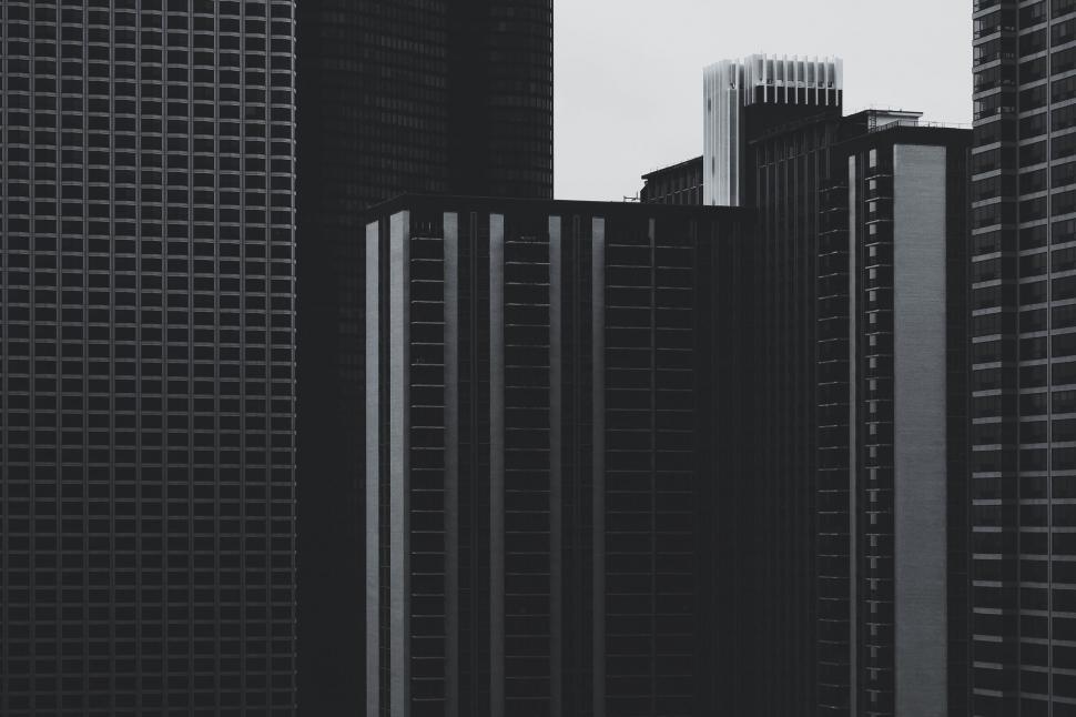 Free Image of Tall Buildings in Black and White 