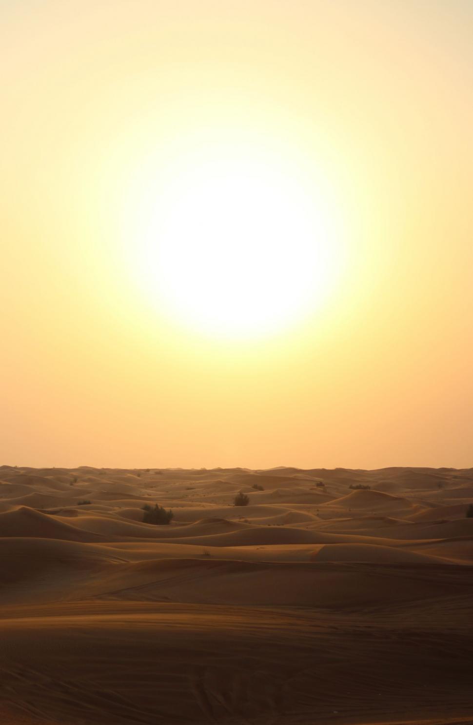 Free Image of Person Riding Horse in Desert at Sunset 