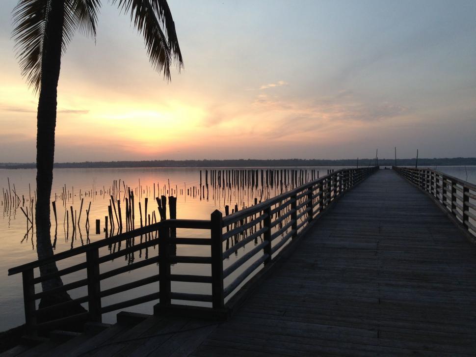 Free Image of Wooden Pier With Palm Tree at the End 