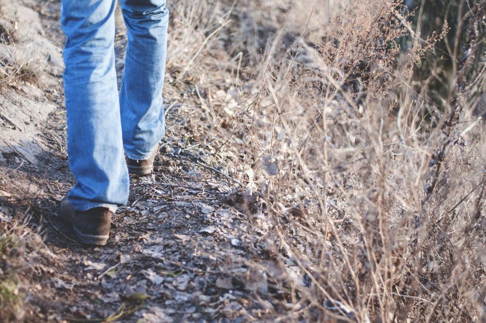 Free Image of Person Walking on Path in Field 