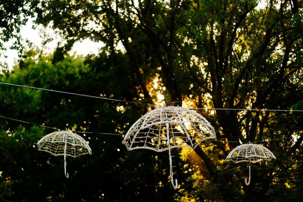 Free Image of Three Umbrellas Hanging From Wire in Front of Trees 