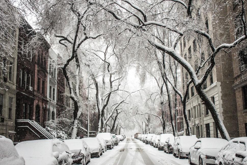 Free Image of Street Filled With Snow-Covered Cars 